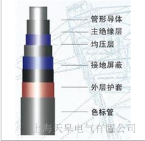 ���늚�^����ĸ��